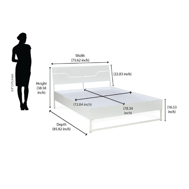 Nilkamal Sleep - Grande Bed White Dimensions in Inch