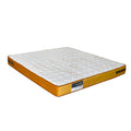 Celeste Unizone Bounce Foam Mattress