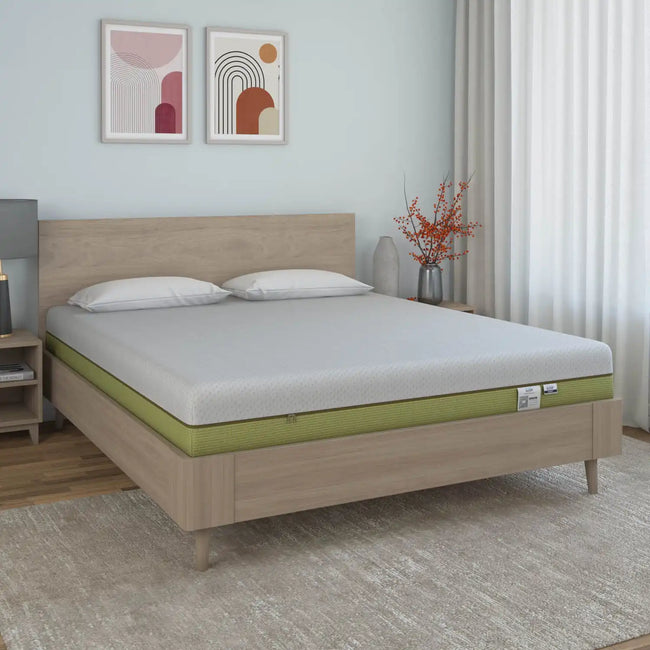Nilkamal Sleep - Ecoair Latex Queen Mattress
