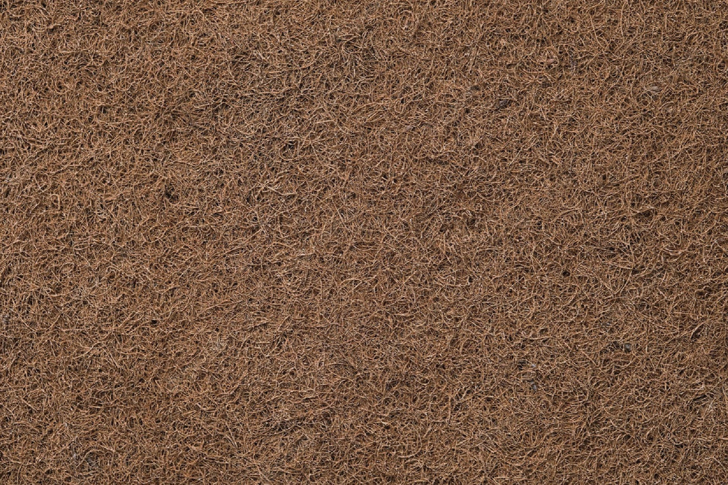 Do Coir Mattresses Help with Back Pain Relief?
