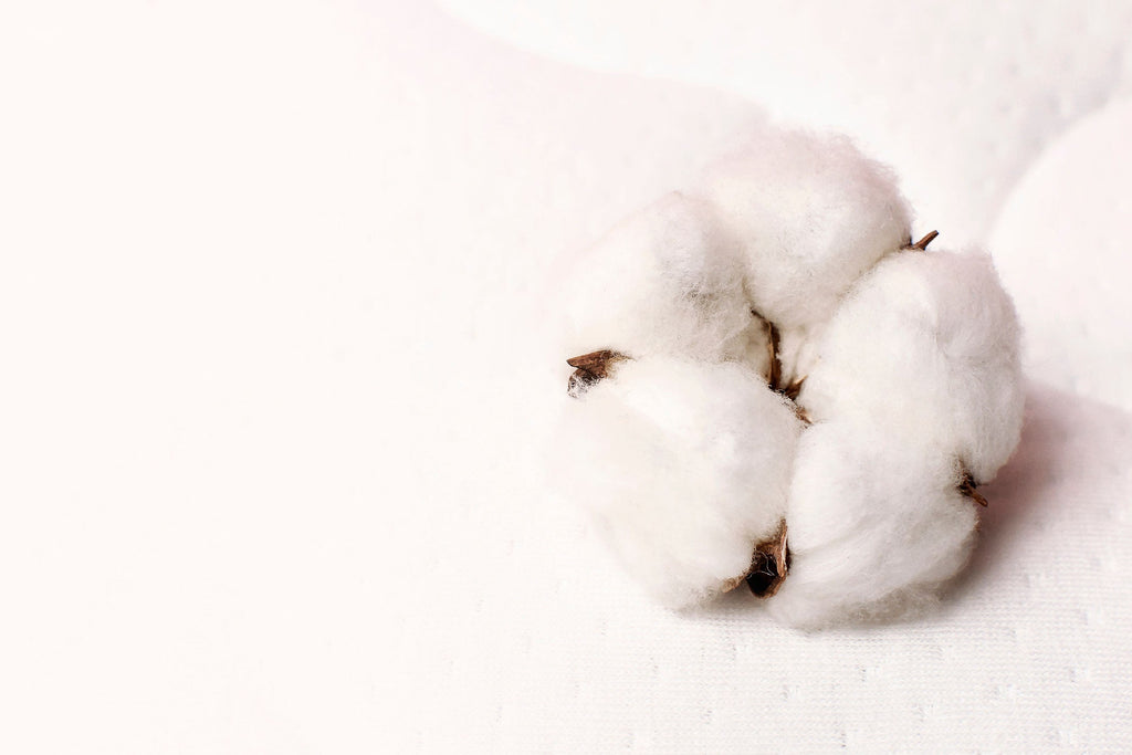 How Mattress Material Affects Your Health and Sleep Comfort?