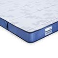 Revibe Foam Mattress
