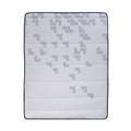 Revibe Foam Mattress