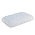 Mesh Icefoam Pillow - Set of 1