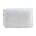 Mesh Icefoam Pillow - Set of 1