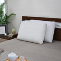 Mesh Icefoam Pillow - Set of 1