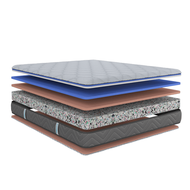 Sofi Foam Mattress